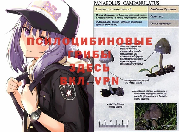 трава Армянск