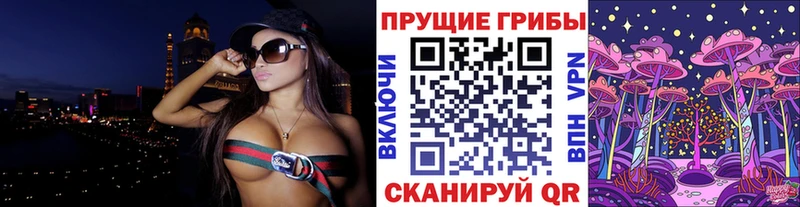 Галлюциногенные грибы Psilocybine cubensis  закладки  Бабаево 